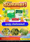 โปรโมชั่น Happy Summer ซื้อ 2 แถม 1