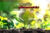 how plants absorb nutrients how plants absorb nutrients
