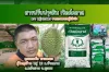 เกษตรกรผู้ใช้สารปรับปรุงดินหญิงเกษตร เกษตรกรผู้ใช้สารปรับปรุงดินหญิงเกษตร