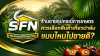ร้านขายอุปกรณ์การเกษตรควรเลือกสินค้าเกี่ยวปาล์มแบบไหนไปขายดี? ร้านขายอุปกรณ์การเกษตรควรเลือกสินค้าเกี่ยวปาล์มแบบไหนไปขายดี?