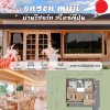 แบบบ้าน Onsen Muji