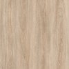 CANARY OAK