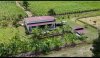 บ้านสวนริมคลอง 2ไร่ เลียบถนนคลองชลประทาน ราคา 2,700,000 บาท