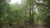 สวนต้นไม้ผสมผสานอายุกว่า 20 ปี อ.จอมบึง จ.ราชบุรี