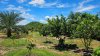 บ้านสวนเกษตร 4 ไร่ 60 ตร.วา ปลูกพืชผลผสม
