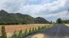 ที่โฉนด วิวภูเขาล้อม ต.เขาชะงุ้ม อ.โพธาราม จ.ราชบุรี