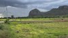 360 ตร.วา ฟรีโอน ไฟฟ้า น้ำประปาหน้าแปลง