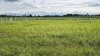 ที่ดินผ่อนได้ ต.หนองกวาง อ.โพธาราม จ.ราชบุรี