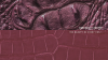 CROCODILE LEATHER : THE BEAUTY OF EVERY CUT/.