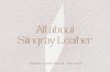 เรื่องราวของหนังปลากระเบน ABOUT STINGRAY LEATHER เรื่องราวของหนังปลากระเบน ABOUT STINGRAY LEATHER