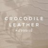 หนังจระเข้ ABOUT CROCODILE LEATHER