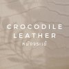 หนังจระเข้ ABOUT CROCODILE LEATHER หนังจระเข้ ABOUT CROCODILE LEATHER