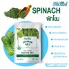 รับผลิต สร้างแบรนด์ อาหารเสริม ผงผัก WeNeed (Spinach)