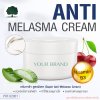 รับผลิตครีม สร้างแบรนด์ ครีมทาฝ้า สูตร ลดรอยดำ ฝ้า กระ (Anti Melasma Cream)