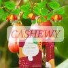 Cashewy Drink