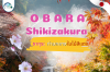 Obara Shikizakura ซากุระท่ามกลางใบไม้สีแดง Obara Shikizakura ซากุระท่ามกลางใบไม้สีแดง