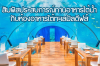 ประสบการณ์ใหม่ ทานอาหารที่ห้องอาหารใต้ทะเลมัลดีฟส์ ประสบการณ์ใหม่ ทานอาหารที่ห้องอาหารใต้ทะเลมัลดีฟส์
