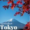 JP005 ทัวร์ญี่ปุ่นส่วนตัว : โตเกียว