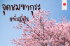 จุดชมซากุระแนะนำทั่วญี่ปุ่น ฉบับปี 2024 จุดชมซากุระแนะนำทั่วญี่ปุ่น ฉบับปี 2024