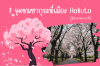 รวม 7 จุดชมซากุระสวยที่สุดในเมือง Hokuto จังหวัด Yamanashi รวม 7 จุดชมซากุระสวยที่สุดในเมือง Hokuto จังหวัด Yamanashi