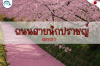 รีวิว: ถนนสายนักปราชญ์ เกียวโต เดินช้า ๆ ท่ามกลางซากุระ และความสงบที่สัมผัสได้ รีวิว: ถนนสายนักปราชญ์ เกียวโต เดินช้า ๆ ท่ามกลางซากุระ และความสงบที่สัมผัสได้