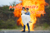 Bakuha Taiken Tour ระเบิดจริงสไตล์กองถ่ายญี่ปุ่น Bakuha Taiken Tour ระเบิดจริงสไตล์กองถ่ายญี่ปุ่น