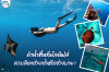 ดำน้ำตื้นที่มัลดีฟส์: ควรเลือกช่วงเช้าหรือช่วงบ่าย? ดำน้ำตื้นที่มัลดีฟส์: ควรเลือกช่วงเช้าหรือช่วงบ่าย?