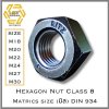 Steel Hex Nut Class 8 S45C size M18, M20, M22, M24, M27, M30 Pack 5 PCS