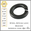 แหวนสปริงเหล็กแข็ง แหวนสปริงนอก อย่างหนา Spring Lock Washer Inch Imperial standard 1/4" 5/16" 3/8" 7/16" 1/2" 9/16" 5/8" 3/4"