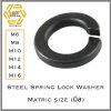 Spring Lock Washer M6, M8, M10, M12, M14, M16 Class 2 Pack 10 PCS