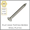 สกรูเกลียวปล่อยเหล็กชุบขาว หัว F Self Tapping Screw FH #10 X 1/2"