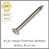 สกรูเกลียวปล่อยเหล็กชุบขาว หัว F Self Tapping Screw FH #12