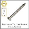 สกรูเกลียวปล่อยเหล็ก หัว FH Steel phillips flat head screw #6 X 5/16"