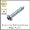 สกรูเกลียวปล่อยเหล็กชุบขาว หัว P Self Tapping Screw PH #8 X 3/8"