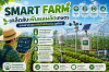 Smart Farm เคล็ดลับเพิ่มผลผลิตเกษตรแม่นยำด้วยเทคโนโลยีอัจฉริยะยุคใหม่ Smart Farm เคล็ดลับเพิ่มผลผลิตเกษตรแม่นยำด้วยเทคโนโลยีอัจฉริยะยุคใหม่