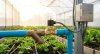 เลือก Solenoid Valve ระบบรดน้ำอัตโนมัติ ให้เหมาะกับฟาร์ม | AgritechTH