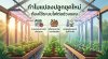 ทำไมแปลงปลูกยุคใหม่ ต้องใช้ระบบไฟต่อช่วงแสง ทำไมแปลงปลูกยุคใหม่ ต้องใช้ระบบไฟต่อช่วงแสง