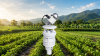 สถานีตรวจวัดสภาพอากาศขนาดกะทัดรัด ช่วยให้ Smart farm ของคุณค่อยๆ เติบโตอย่างมั่นคง