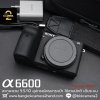 Sony A6600 Body