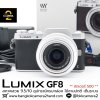 Lumix GF8