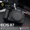 Canon EOS R7 Body