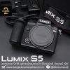 Lumix S5 Body