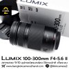 Lumix 100-300mm F4-5.6 II