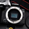 Canon EOS R10 Body