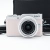 Lumix GF9