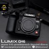 Lumix GH6 Body