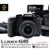 Lumix G85