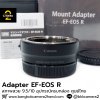 Adapter EF-EOS R