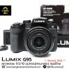 Lumix G95