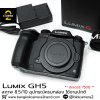 Lumix GH5 Body